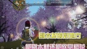 黎明觉醒新衣爆料视频,华丽蜕变，探寻神秘力量