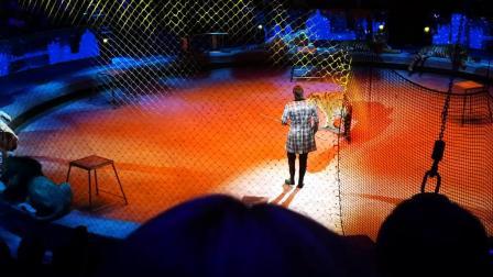 马戏在线播放,尽在指尖——在线观看马戏盛宴