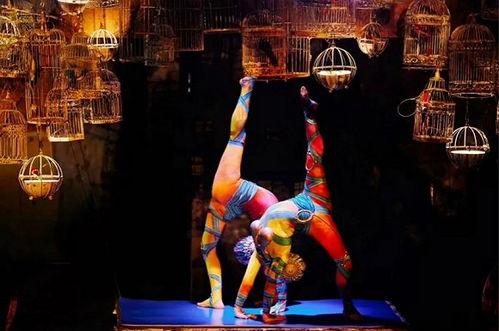 马戏团演出视频,惊险刺激！马戏团演出精彩瞬间大盘点