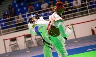 跆拳道基本功视频,掌握基础，迈向高手之路