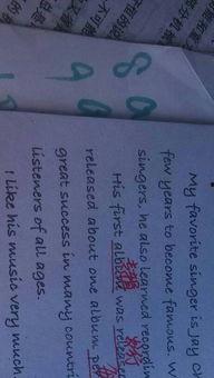 英语作文 对明星的看法,崇拜与争议的交织