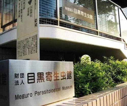 日本寄生虫博物馆,揭示人体寄生虫的奥秘与防治